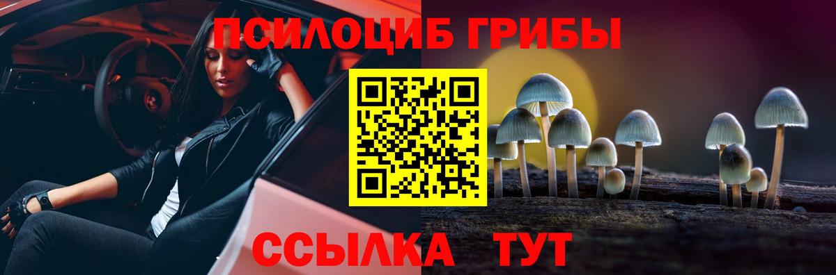 Псилоцибиновые грибы ЛСД Ступино